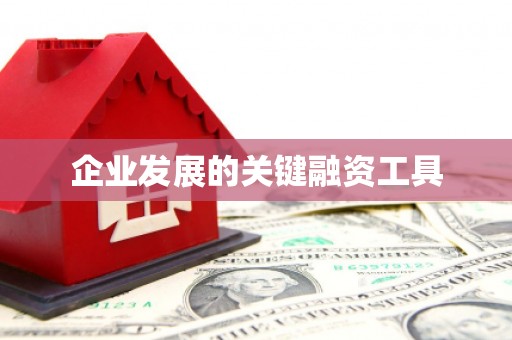 潭子企业发展的关键融资工具