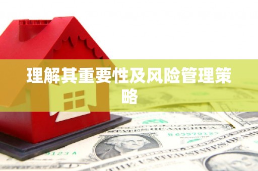 南安理解其重要性及风险管理策略