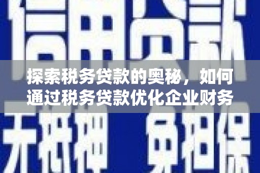 瓯海探索税务贷款的奥秘，如何通过税务贷款优化企业财务