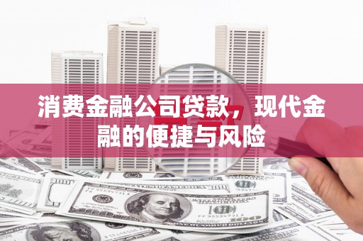 颍东消费金融公司贷款，现代金融的便捷与风险