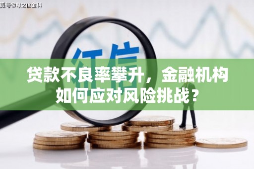 云浮贷款不良率攀升，金融机构如何应对风险挑战？