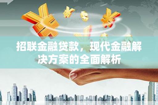 大冶招联金融贷款，现代金融解决方案的全面解析