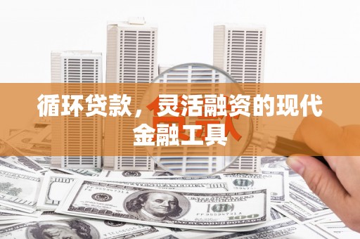 仁和循环贷款，灵活融资的现代金融工具