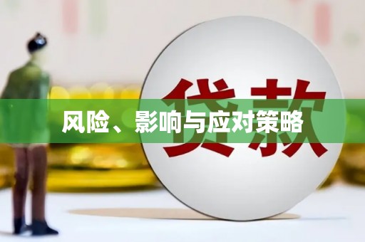 金溪风险、影响与应对策略