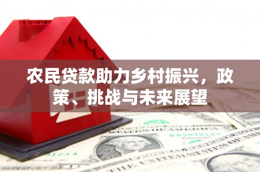 洛浦农民贷款助力乡村振兴，政策、挑战与未来展望
