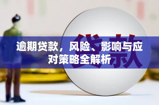 永靖逾期贷款，风险、影响与应对策略全解析