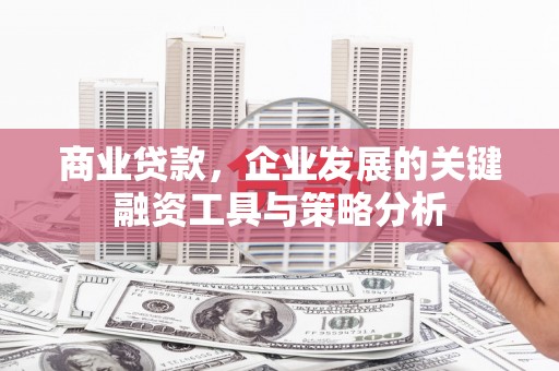 正蓝旗商业贷款，企业发展的关键融资工具与策略分析