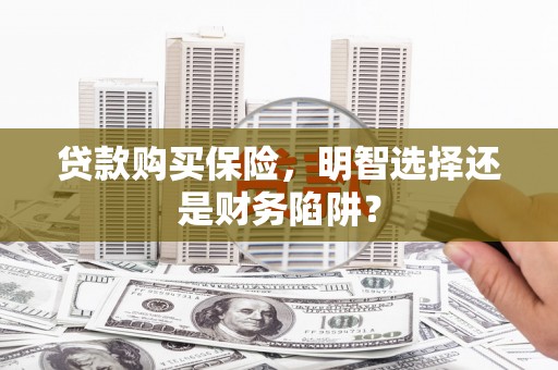 宽甸贷款购买保险，明智选择还是财务陷阱？