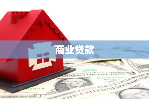 洛扎商业贷款