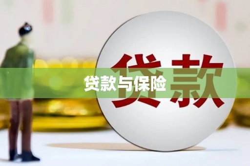 两江新区贷款与保险