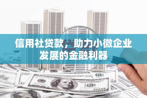 横山信用社贷款，助力小微企业发展的金融利器
