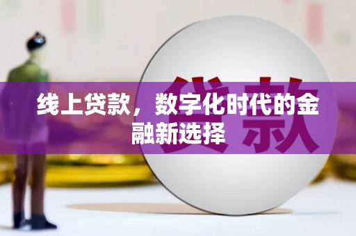 漾濞线上贷款，数字化时代的金融新选择
