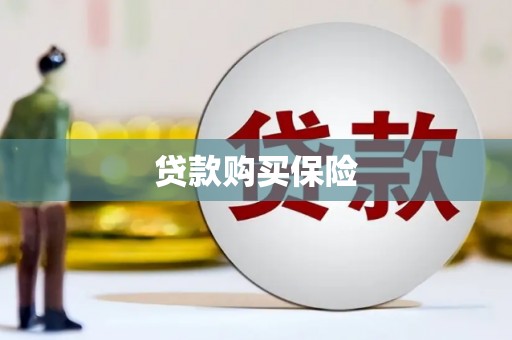 西峡贷款购买保险