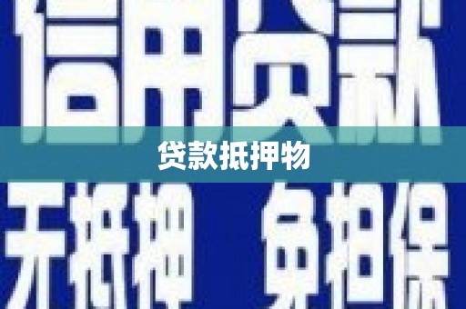 应县贷款抵押物