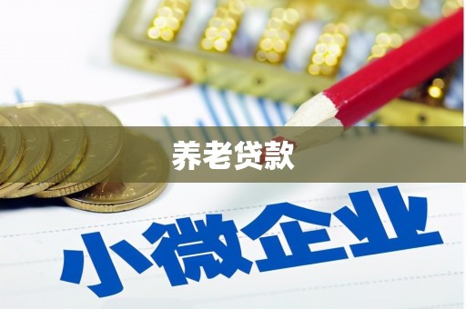 埇桥养老贷款