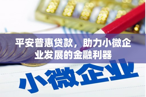 山海关平安普惠贷款，助力小微企业发展的金融利器