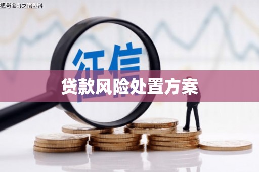 武城贷款风险处置方案