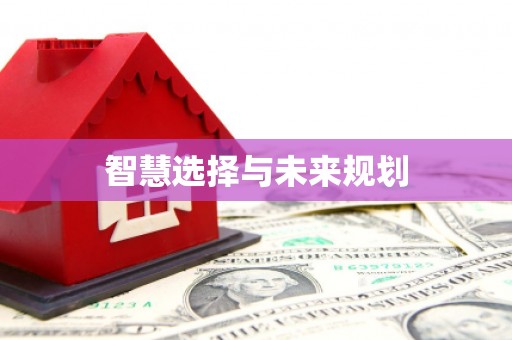 武平智慧选择与未来规划