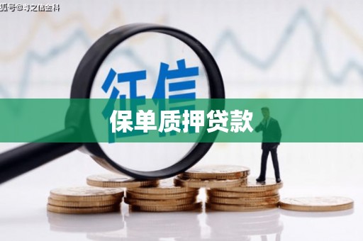 麦积保单质押贷款