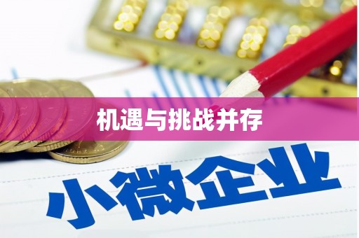 阜宁机遇与挑战并存