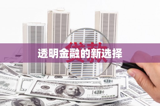张北透明金融的新选择
