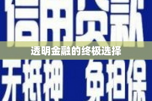龙崎透明金融的终极选择
