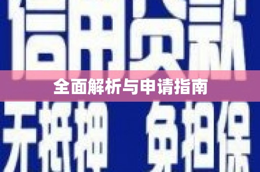 自贡全面解析与申请指南