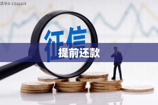 青川提前还款