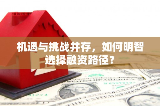 宝山机遇与挑战并存，如何明智选择融资路径？