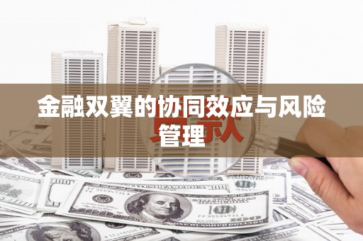 当涂金融双翼的协同效应与风险管理