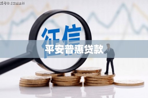 学甲平安普惠贷款