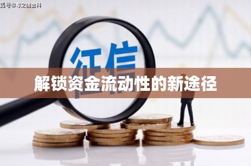 镇安解锁资金流动性的新途径