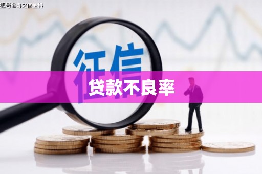 水里贷款不良率
