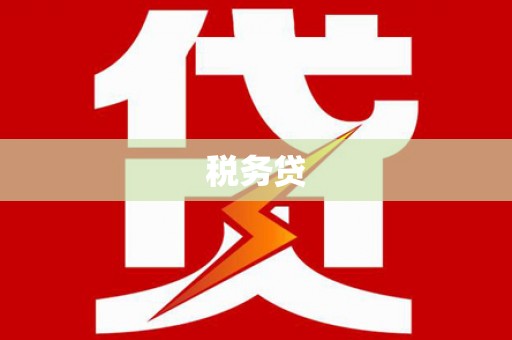 山南税务贷