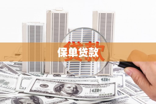 普湾新区保单贷款 普湾新区保单贷款